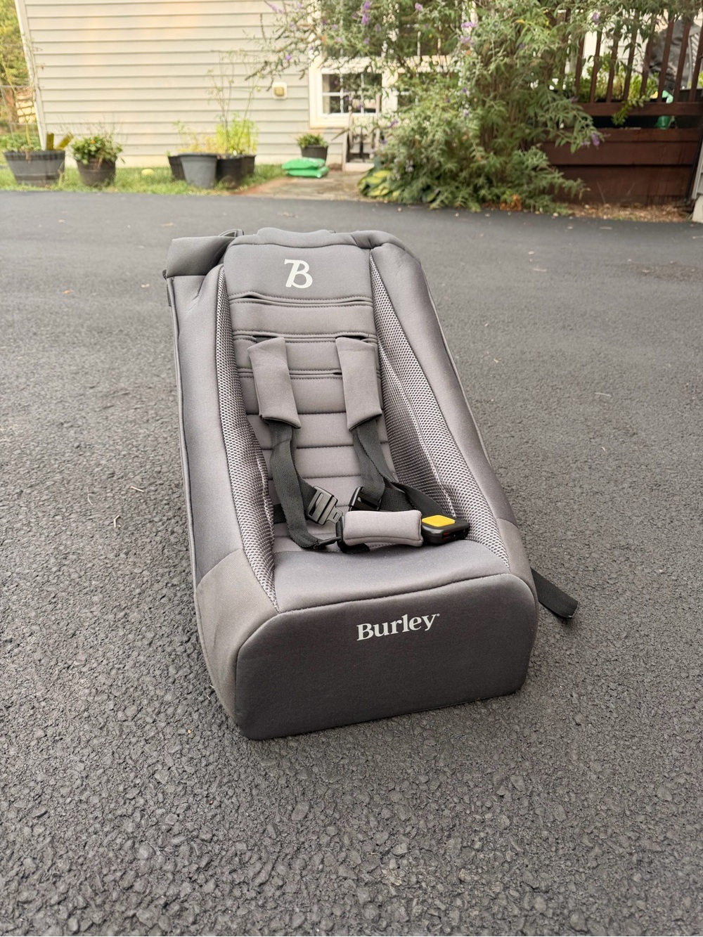 Burley Infant Seat insert